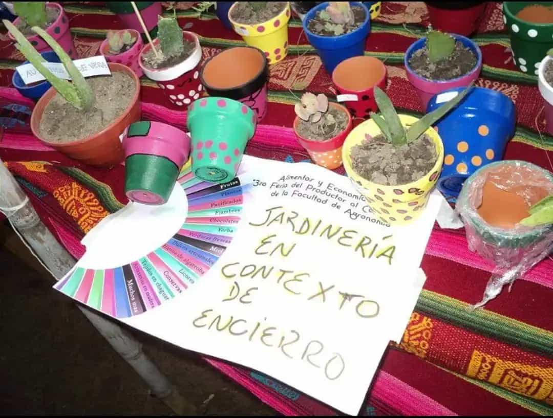 Actividades NCP - Desarrollo social