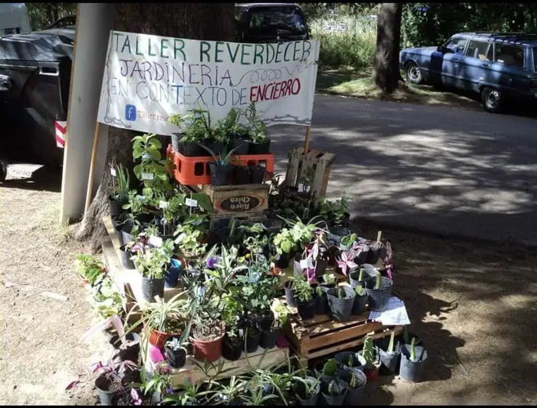 Actividades NCP - Impacto social