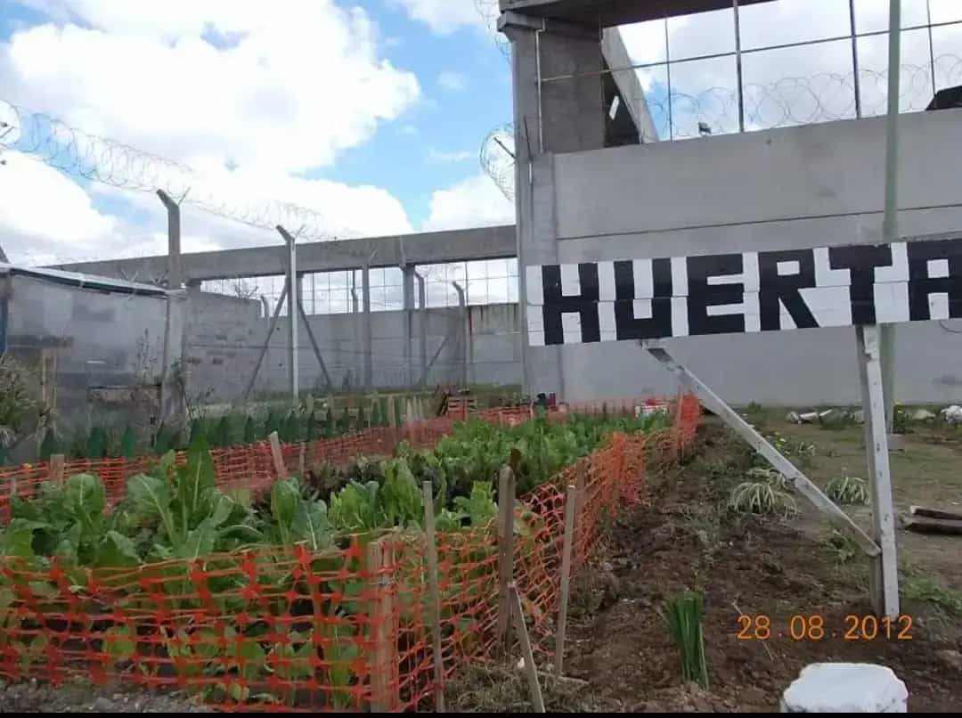 Actividades NCP - Integración comunitaria