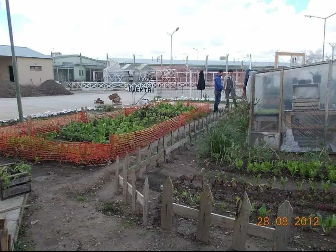 Actividades NCP - Trabajo en equipo