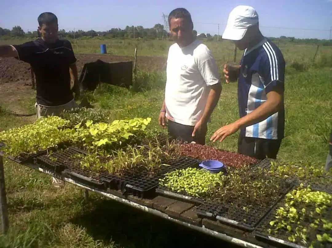 Campo Odetti - Actividades