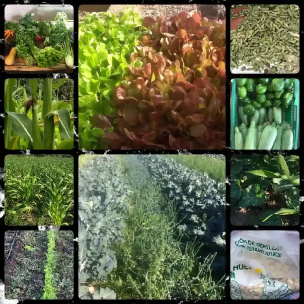 Campo Odetti - Comunidad