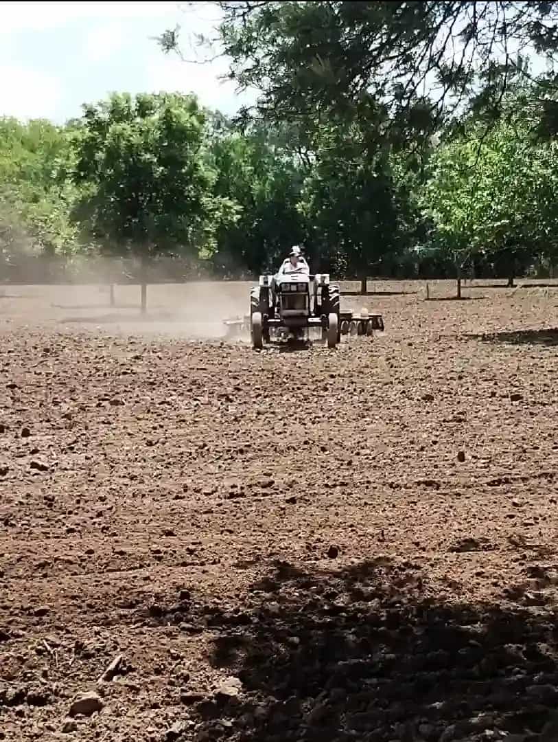 Campo Odetti - Instalaciones