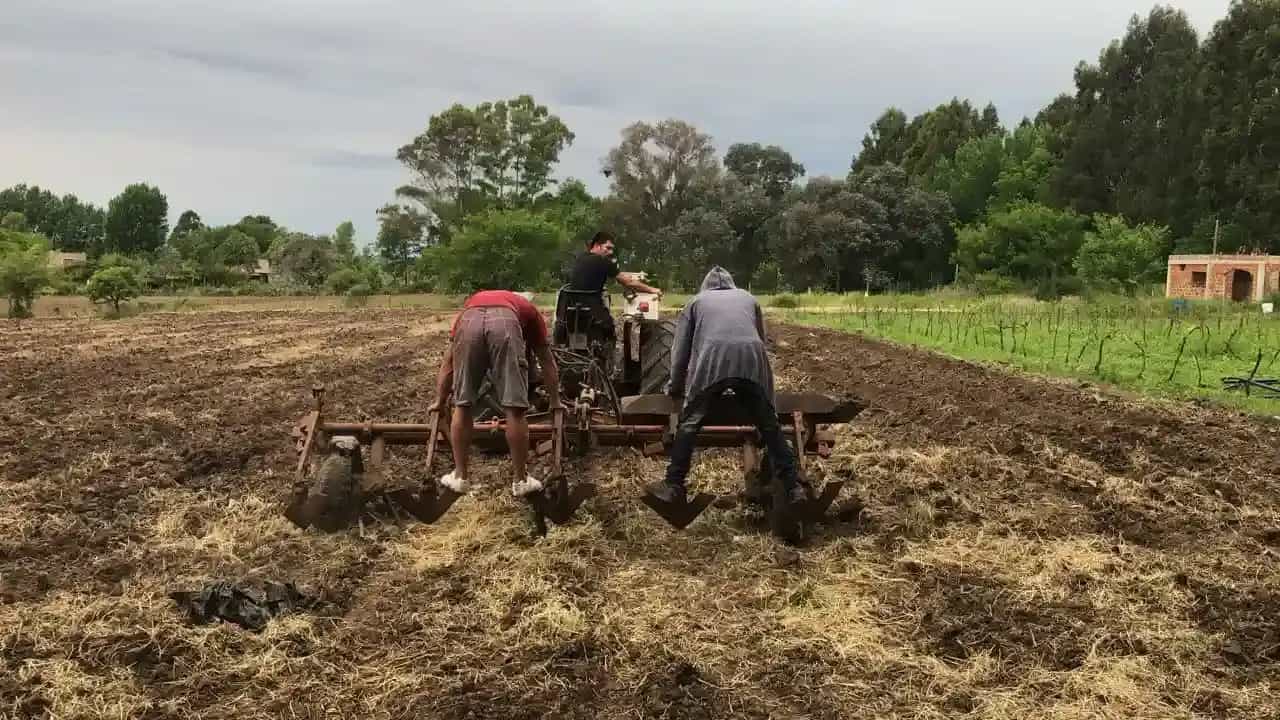 Campo Odetti - Vista general