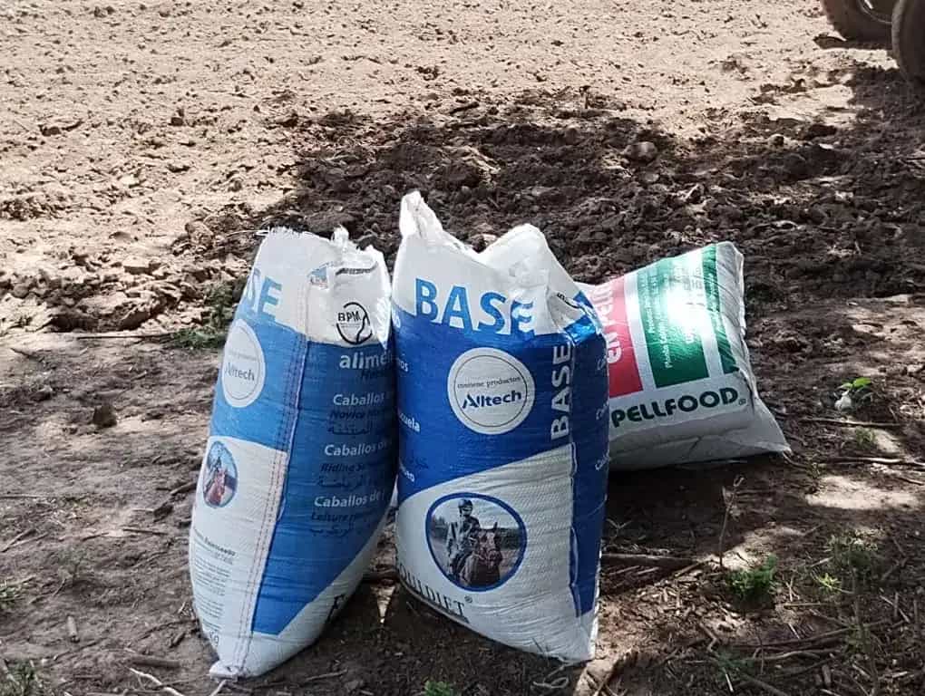 Campo Odetti - Comunidad unida