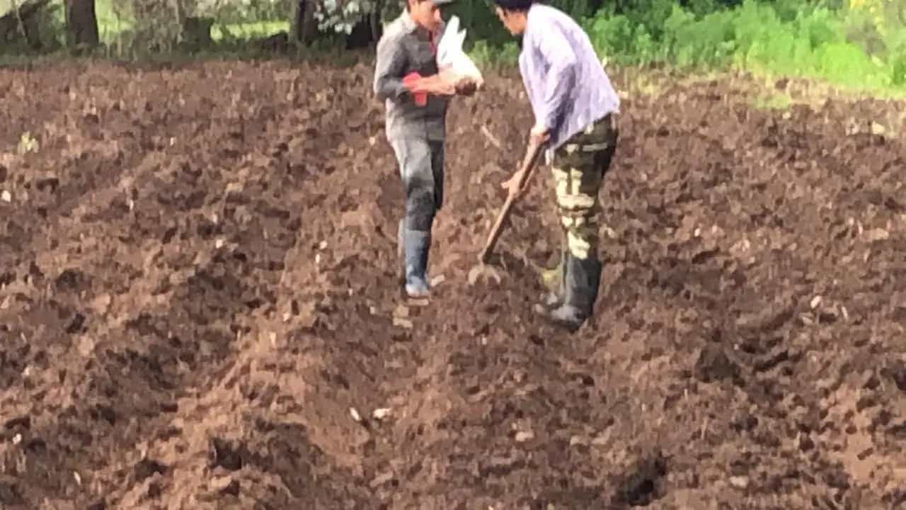 Campo Odetti - Proyectos productivos